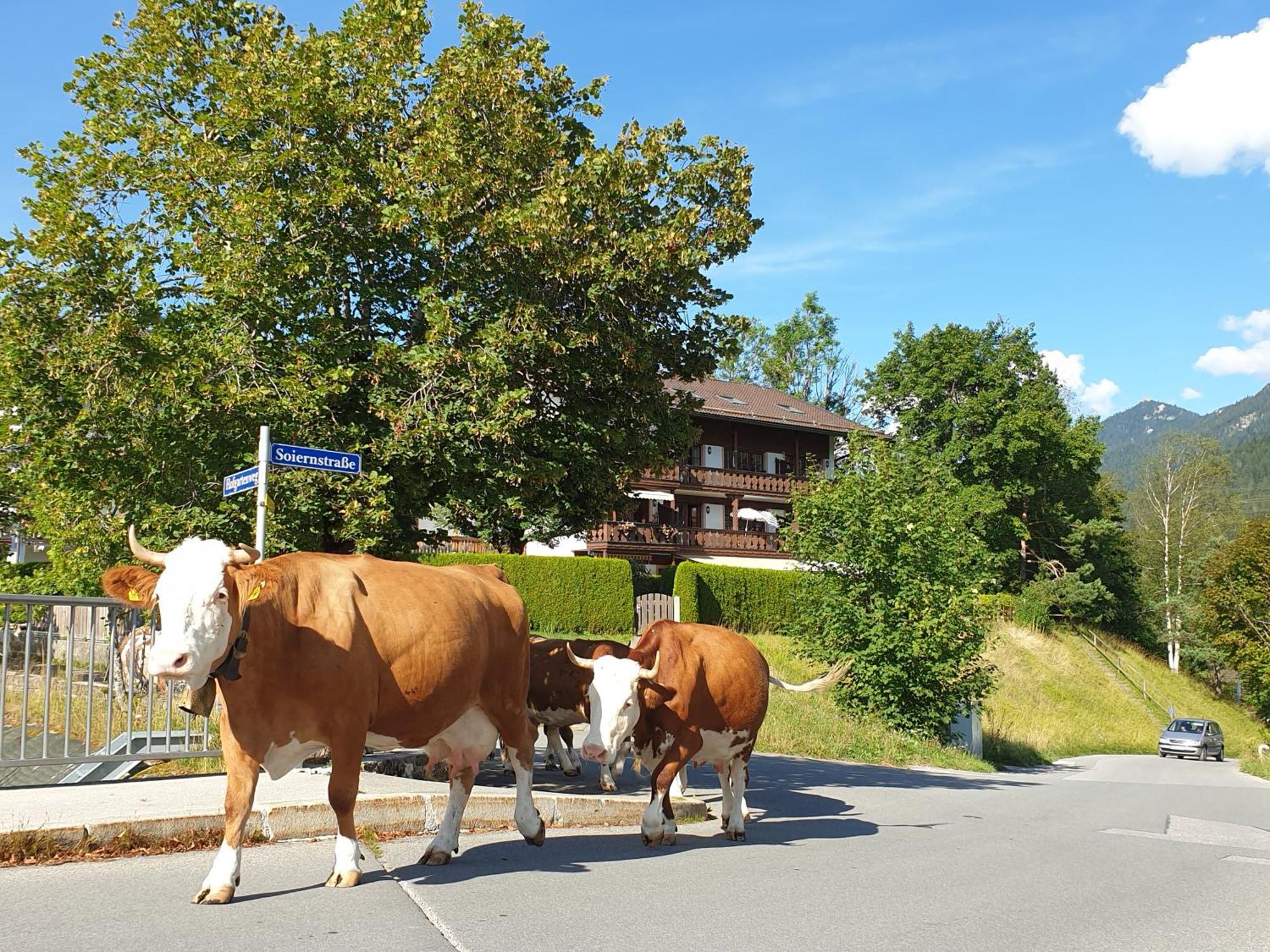 Ferienwohnung Haus Abendsonne Familie Druxes Krün Exterior foto